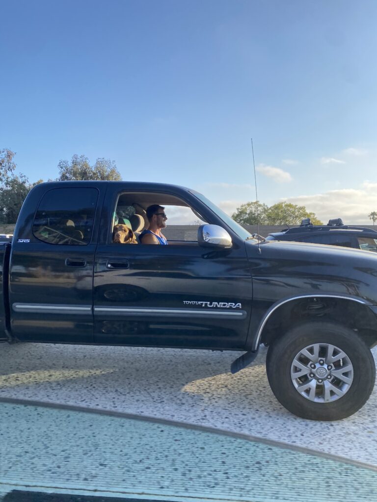 A dog and a man in a pickup truck.