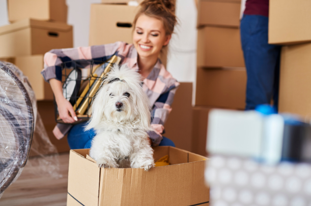 A woman and a dog unpacking boxes